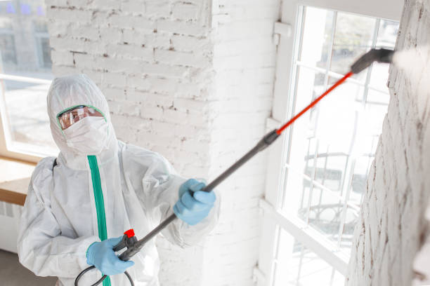 Best Mold Documentation for Insurance Claims  in Taylor Mill, KY