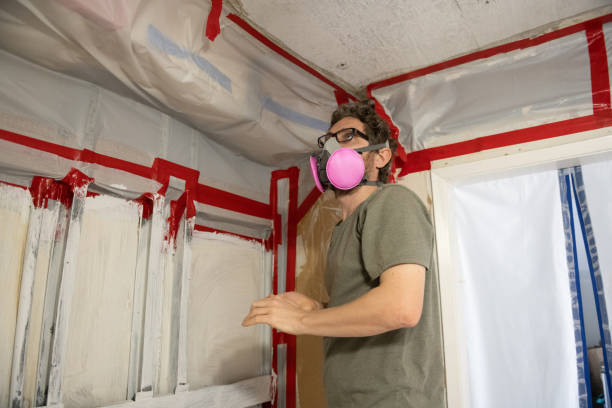 Best Mold Removal for HVAC Installations  in Taylor Mill, KY