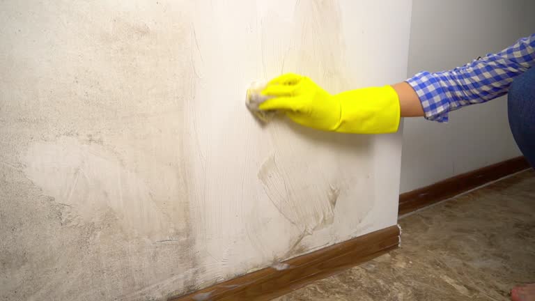 Best Mold Odor Removal Services  in Taylor Mill, KY