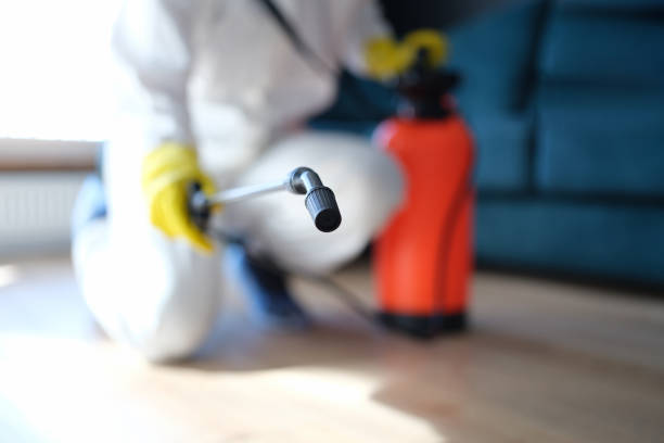 Best Mold Prevention Services  in Taylor Mill, KY