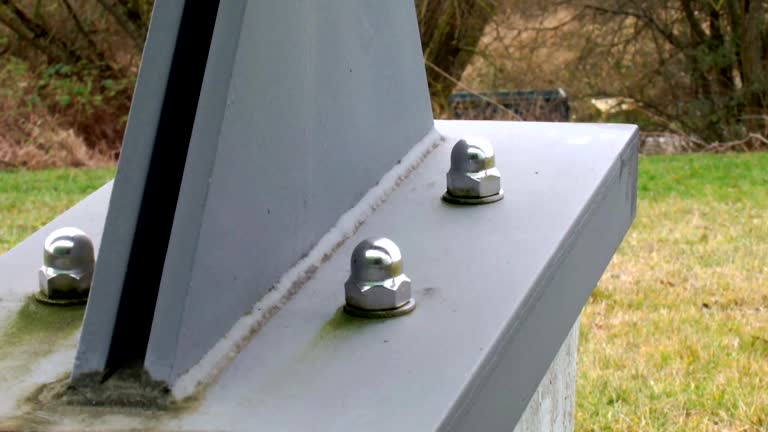 Reliable Taylor Mill, KY Mold Removal Solutions